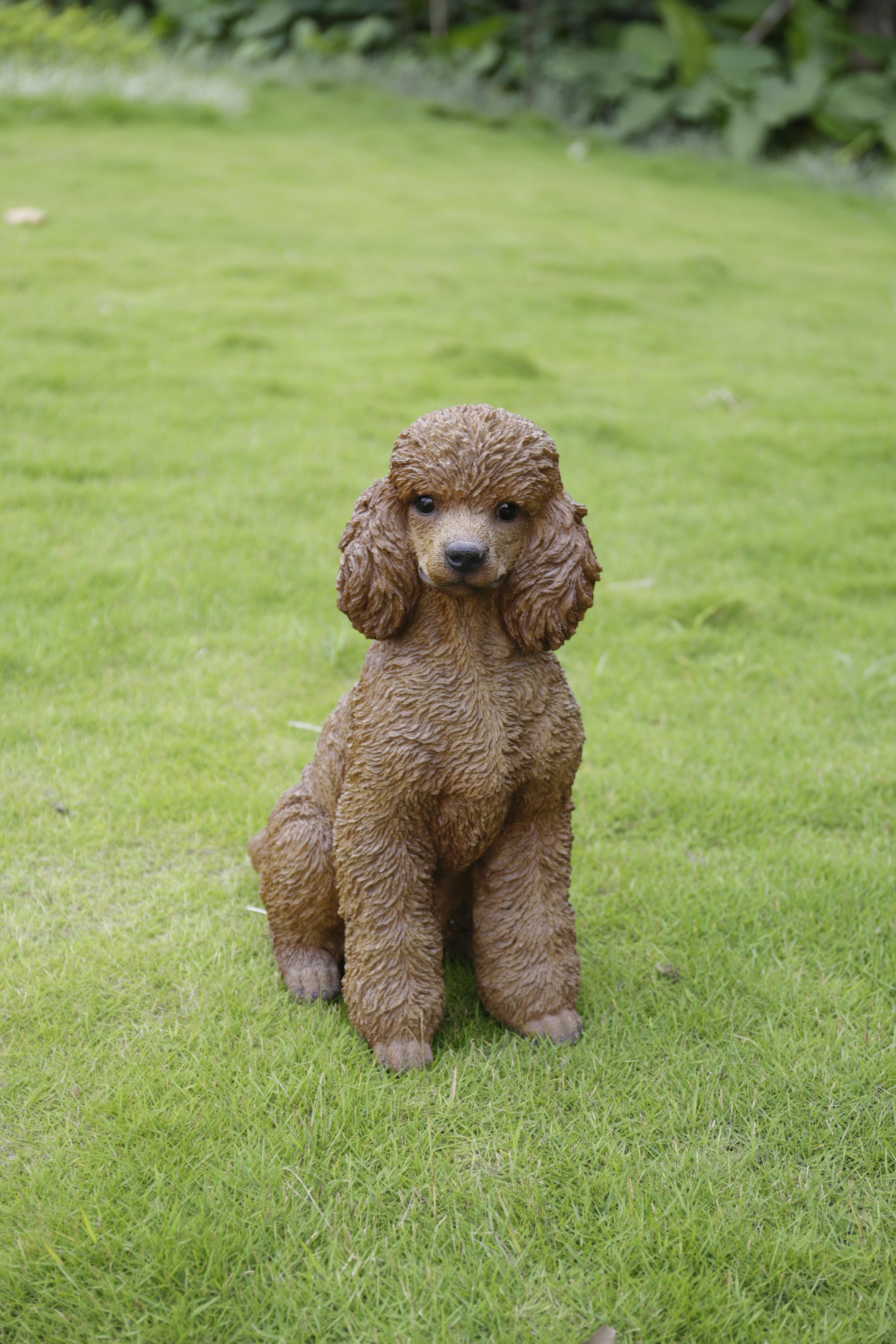 Hi-Line Gift Ltd. Poodle Sitting Statue & Reviews | Wayfair